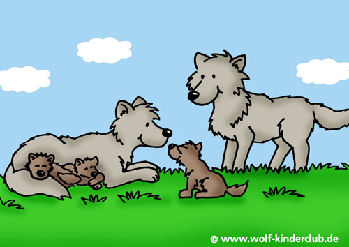 Wolf-Familie